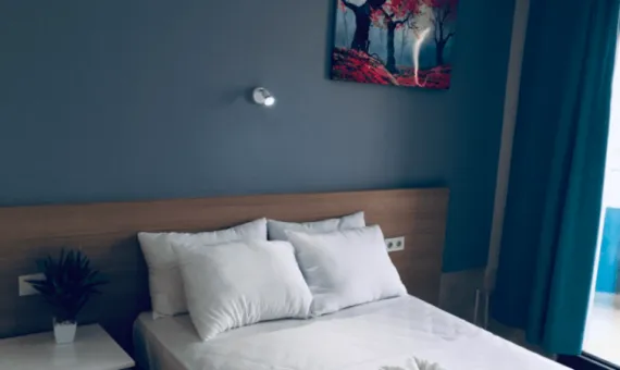 Hotel Topalan 3*