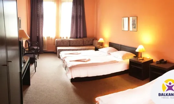 Hotel Branik 3*