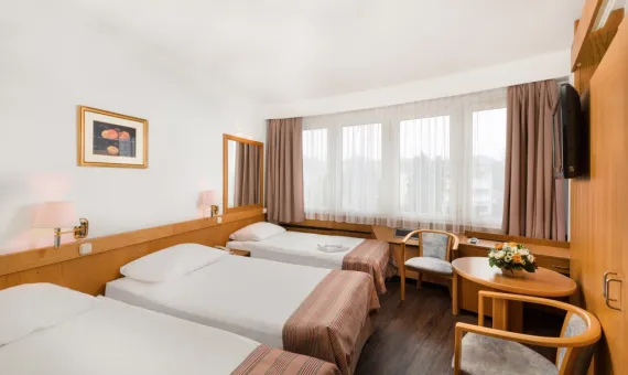 Hotel Budapest 3*