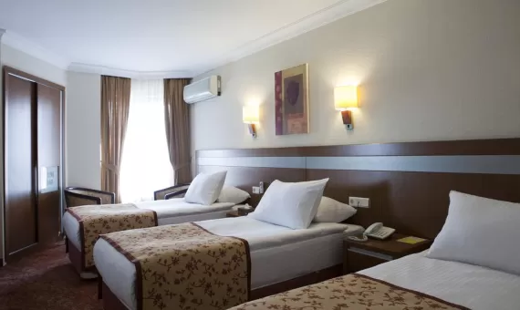 Kaya 3* (Istanbul), Bayuk Avanos 4* (Kapadokija), Atalay 4* (Ankara)