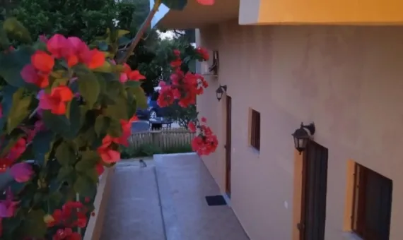 Vila Talia Kavos